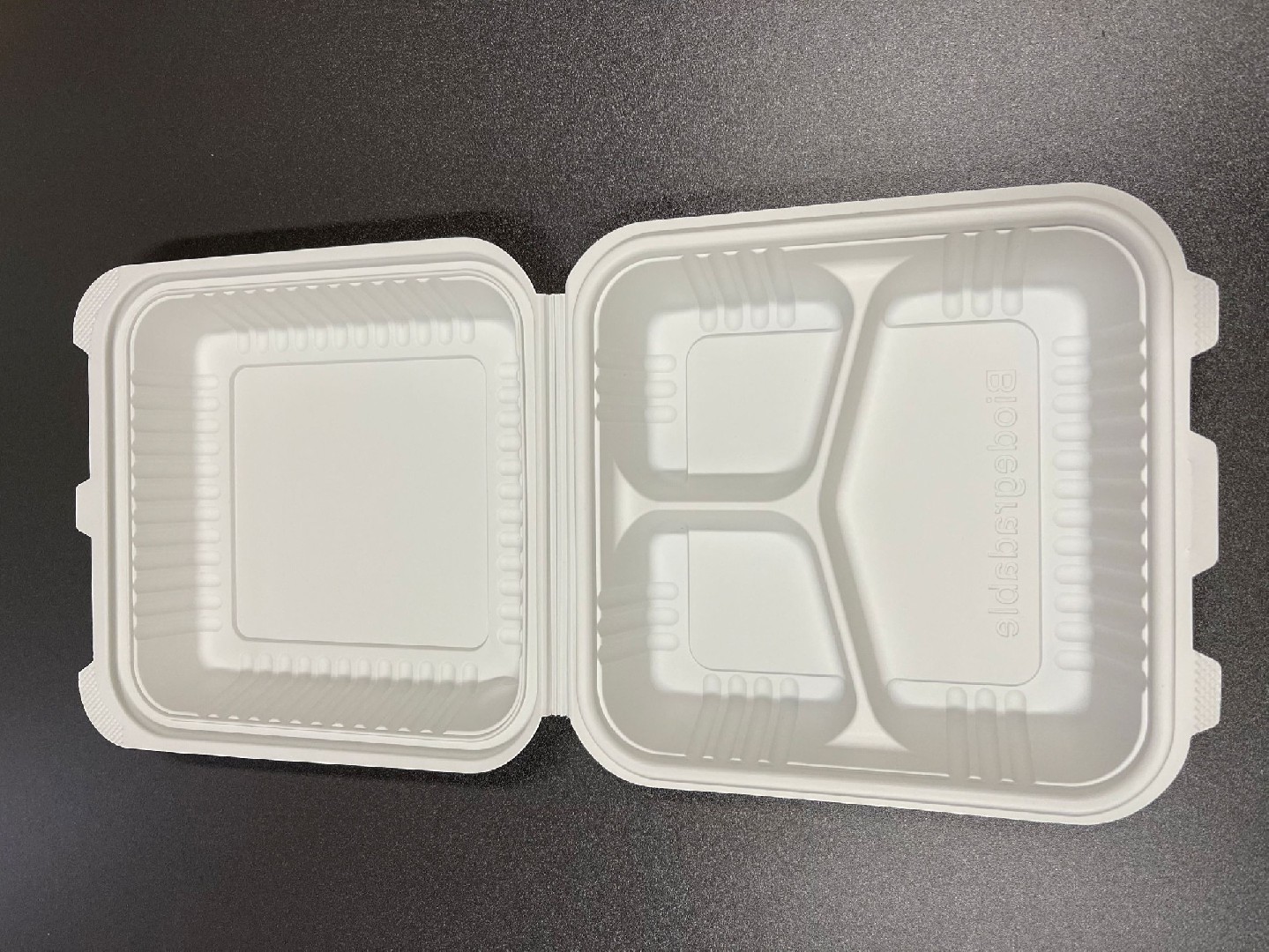 disposable luntch box
